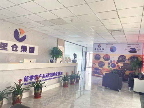 一站式投服行業(yè)服務 上海里倉科技集團的信息技術(shù)咨詢服務解析