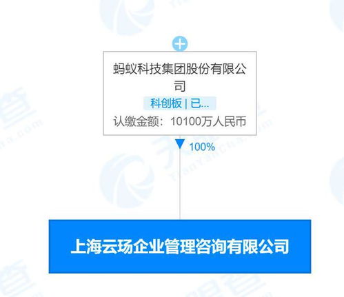 螞蟻科技新設咨詢公司，深耕企業服務與數字技術融合